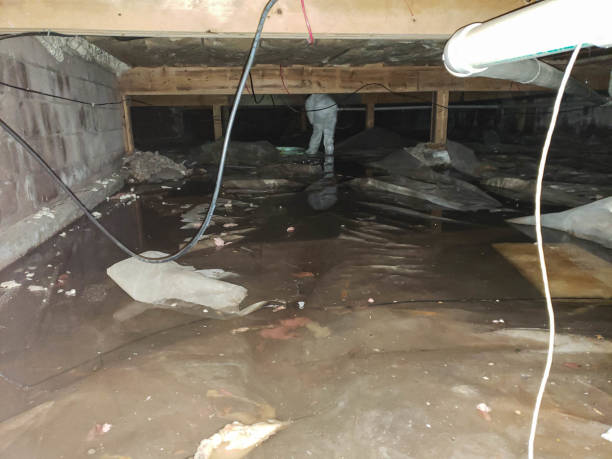 Professional Water damage restoration in Burnham, PA